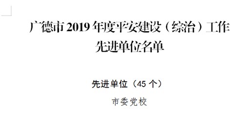 ίУٻ“2019ƽ裨ΣȽλ”ƺ_.jpg