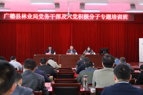 IMG_4036_副本.jpg
